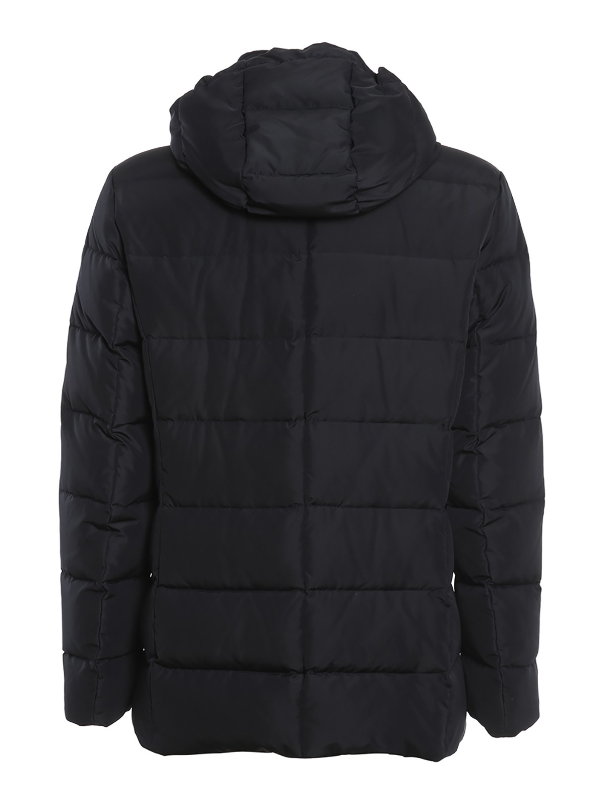 Picture of Canali | Padded Jacket