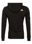 Picture of The North Face | M Hoodie Graphic Ph 1