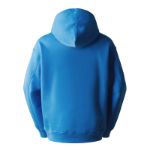 Picture of The North Face | M Icon Hoodie