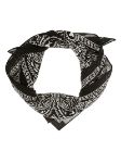 Picture of Ami | Scarf