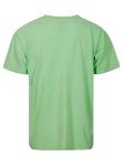 Picture of Wild Donkey | T-Shirt