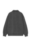 Picture of Carhartt | Half Zip Detroit Sweat
