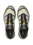Picture of Salomon | Xt-6 Gtx