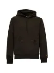 Picture of Carhartt Wip | Hooded Chase Sweat