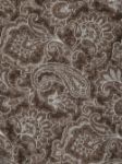 Picture of Kiton | Scarf