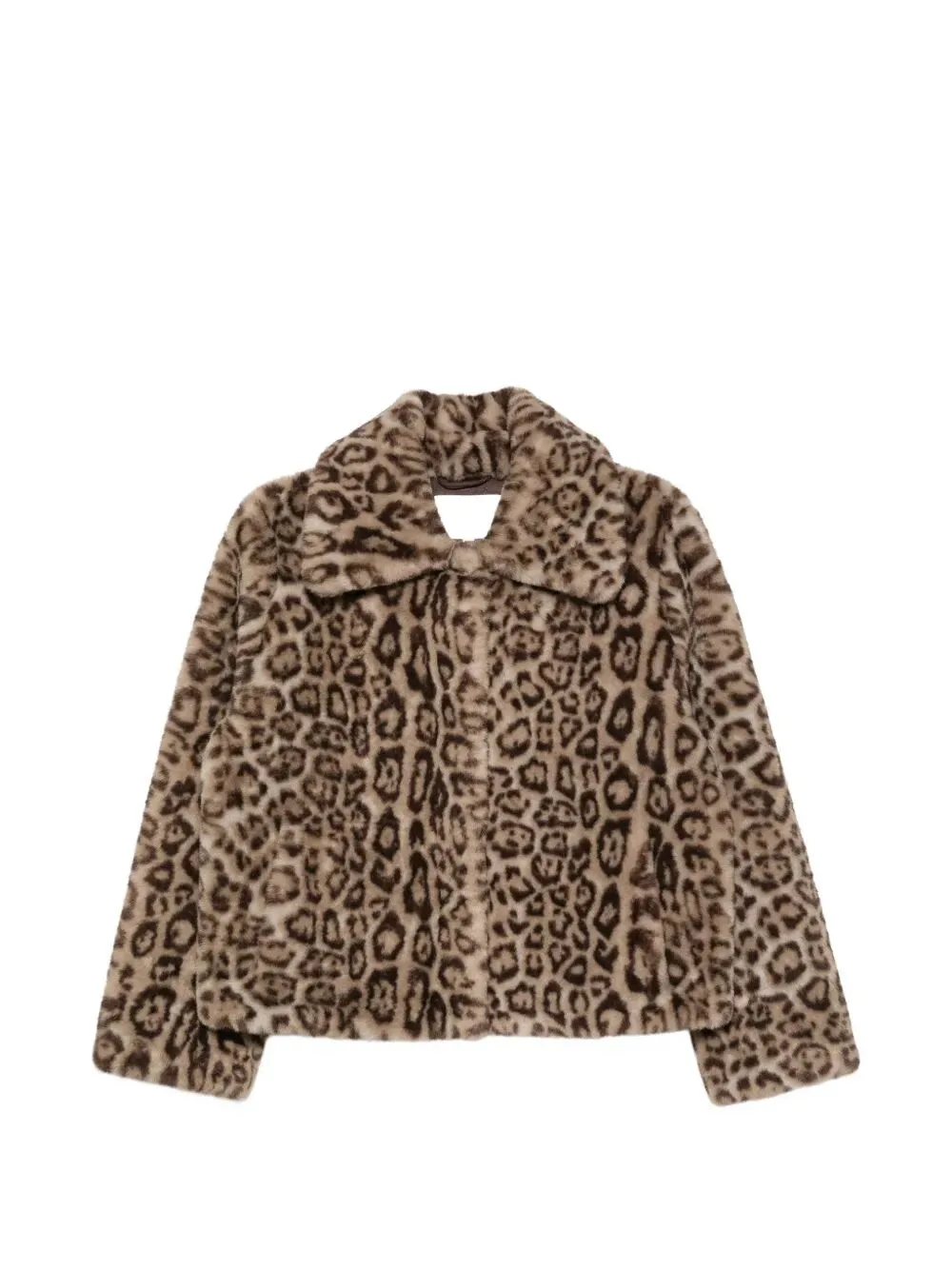 Immagine di Apparis | Elis Leopard Coat