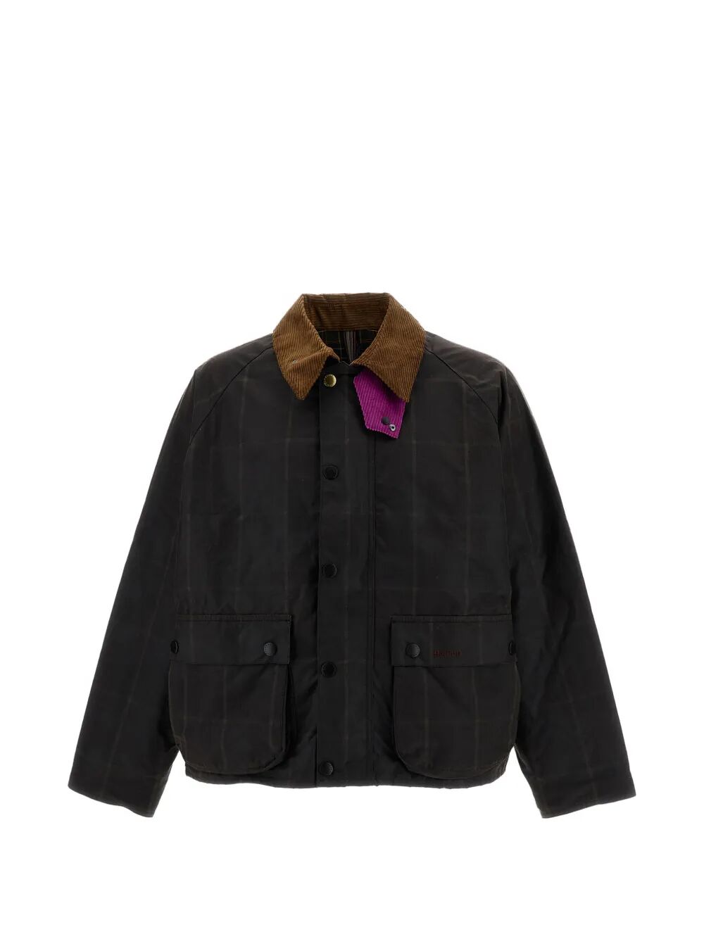 Picture of Barbour | Ba X Paul Smith Transp Wdw Jkt