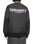 Picture of Carhartt | Calma Sweat