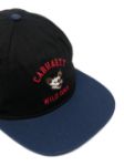 Picture of Carhartt | Wild Dog Cap