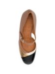 Picture of Chie Mihara | Sucre Negro