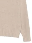 Immagine di Dunst | Chunky Roll Neck Sweater