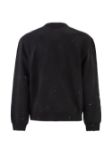 Picture of Carhartt Wip | Painter Sweat
