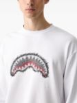 Picture of Sprayground | Scribble Embroidery Shark Crew