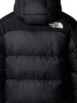 Immagine di The North Face | M Hmlyn Down Parka