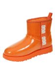 Immagine di Ugg | Classic Clear Mini