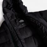 Picture of The North Face | Hmlyn Down Parka