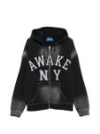 Picture of Awake Ny | Collegiate Arch Zip Hoodie