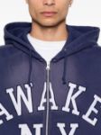 Picture of Awake Ny | Collegiate Arch Zip Hoodie