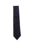 Picture of Errico Formicola | Tie