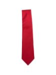 Picture of Errico Formicola | Tie