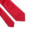 Picture of Errico Formicola | Tie