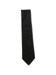 Picture of Errico Formicola | Tie