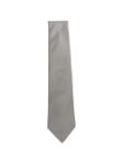 Picture of Errico Formicola | Tie