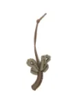 Immagine di Marrea | Palm Tree Bag Charm