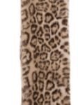 Immagine di Apparis | Kai Leopard Scarf
