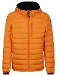 Picture of Parajumpers | Reversible