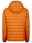 Picture of Parajumpers | Reversible