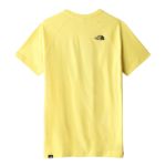 Picture of The North Face | M S/S Raglan Redbox Tee