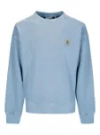 Picture of Carhartt Wip | Nelson Sweat