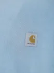 Picture of Carhartt Wip | Nelson Sweat