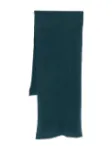Picture of Roberto Collina | Scarf