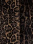 Picture of Apparis | Elis Leopard Coat