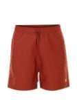 Picture of Carhartt | Chase Swim Trunks