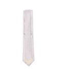 Picture of Errico Formicola | Tie