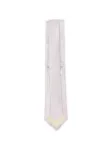 Immagine di Errico Formicola | Tie