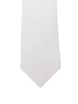 Picture of Errico Formicola | Tie