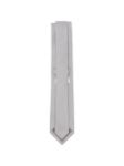 Picture of Errico Formicola | Tie