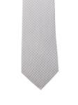 Picture of Errico Formicola | Tie