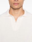 Immagine di Roberto Collina | Polo Over