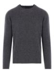 Immagine di Roberto Collina | Roundneck Swg