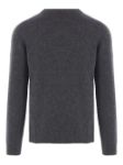 Immagine di Roberto Collina | Roundneck Swg