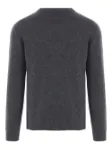 Picture of Roberto Collina | Roundneck Swg
