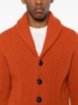 Immagine di Mcgeorge | Shawl Cardigan