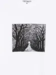 Picture of Carhartt Wip | Avenue T-Shirt