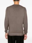 Immagine di Filippo De Laurentis | Crew Neck Sweater