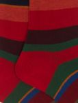 Immagine di Gallo | Socks